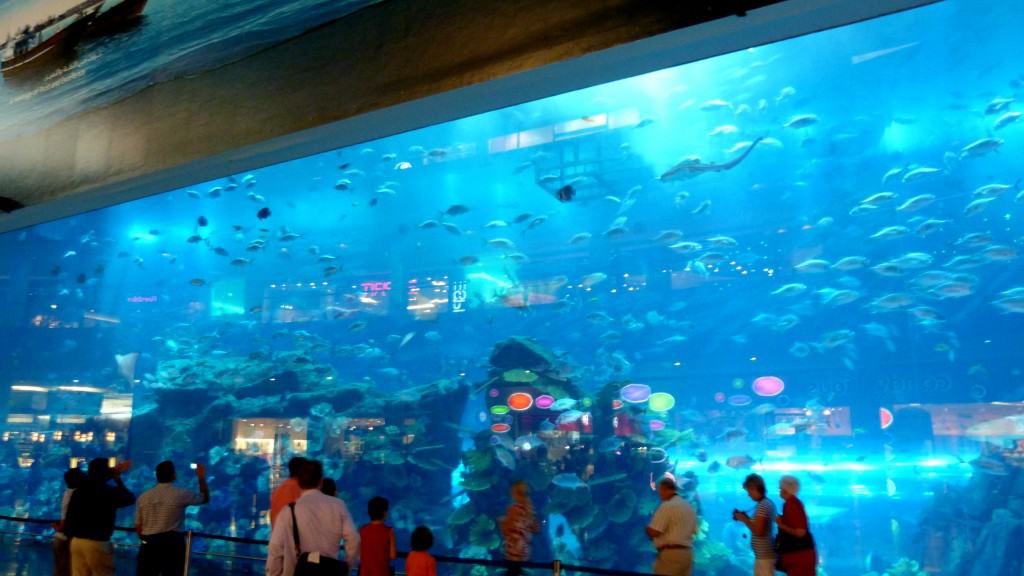 Acquario all'interno del centro commerciale The Dubai Mall